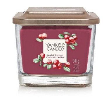YANKEE CANDLE Candied Cranberry svíčka 347g / 3knoty - neuveden