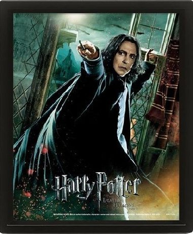 Harry Potter Obraz 3D - Snape - neuveden