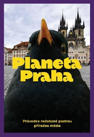 Planeta Praha - Průvodce nečekaně pestrou přírodou města - Ondřej Sedláček, David Storch, Jan A. Šturma, Petr Šípek