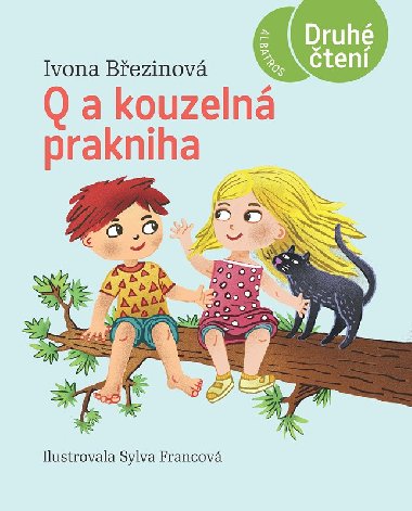 Q a kouzelná prakniha - Ivona Březinová, Sylva Francová