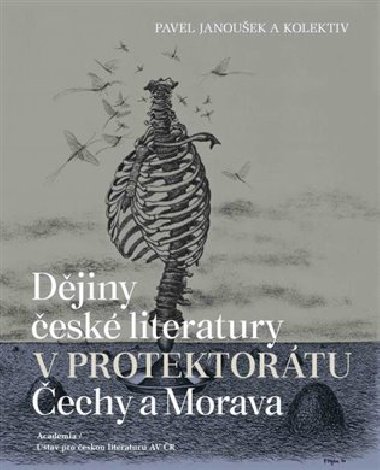 Dějiny české literatury v protektorátu Čechy a Morava - Pavel Janoušek,kol.
