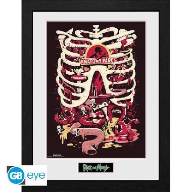 Rick and Morty Zarámovaný plakát - Anatomy Park - neuveden