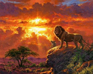 Malování podle čísel - Lev v západu slunce 40 x 50 cm (s rámem) - neuveden, neuveden