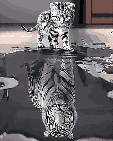 Malování podle čísel - Kotě a tygr 40 x 50 cm (s rámem) - neuveden, neuveden