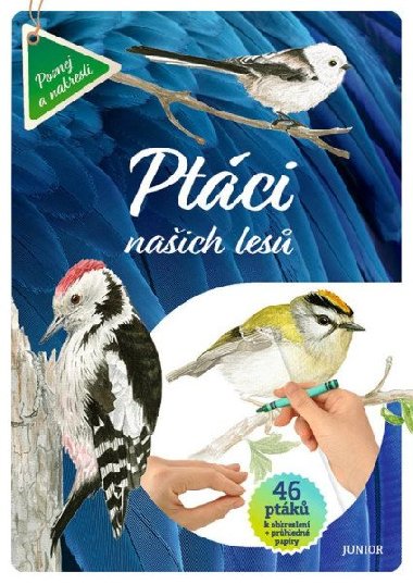 Ptáci našich lesů - 46 ptáků k obkreslení + průhledné papíry - neuveden