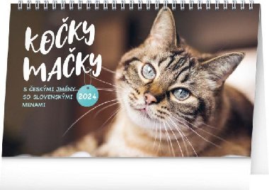 Kočky/Mačky CZ/SK 2024 - stolní kalendář
