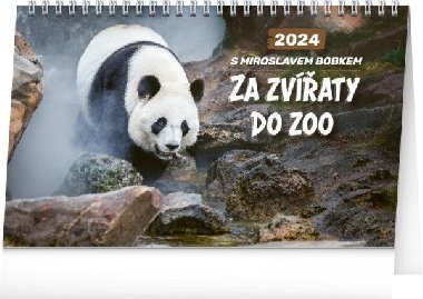 Za zvířaty do zoo 2024 - stolní kalendář - Miroslav Bobek