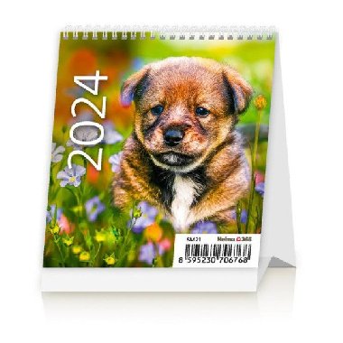 Kalendář stolní 2024 - Mini Puppies - Helma