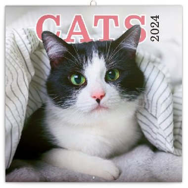Kočky 2024 - nástěnný kalendář - Presco