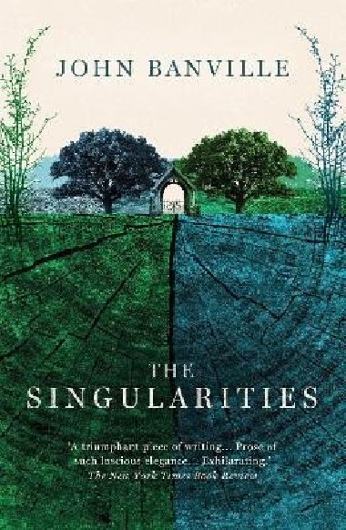 The Singularities - Banville John