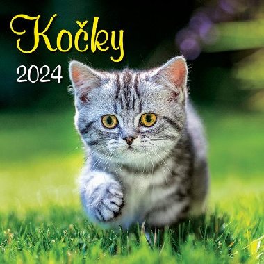 Kočky 2024 - nástěnný kalendář - Spektrum Grafik