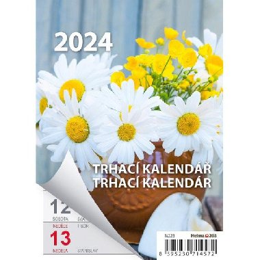 Kalendář nástěnný 2024 - Týdenní trhací kalendář A6 - Helma