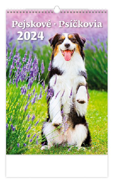 Kalendář nástěnný 2024 - Pejskové - Helma