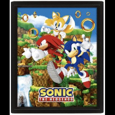 Sonic 3D obraz - Catching Rings - neuveden