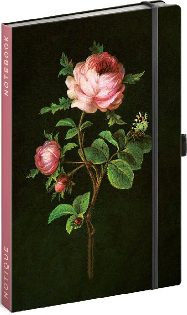 Notes - Růže Kateřiny Winterové, linkovaný, 13 × 21 cm - Kateřina Winterová