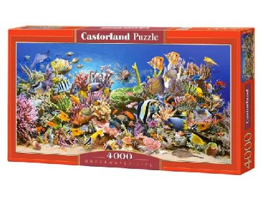 Castorland Puzzle - Podvodní život 4000 dílkú - neuveden