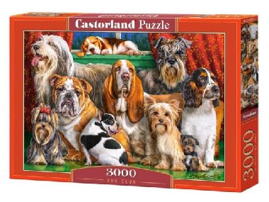 Castorland Puzzle - Psí klub 3000 dílkú - neuveden