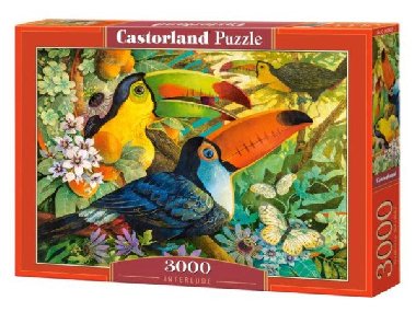Castorland Puzzle - Tukani 3000 dílkú - neuveden