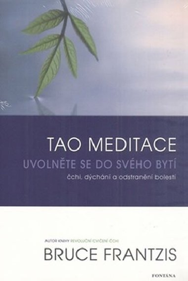 Tao meditace - Uvolněte se do svého bytí - Bruce Frantzis