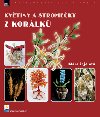 KVTINY A STROMEKY Z KORLK - Klra ejdlov