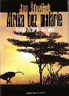 Afrika bez malrie - Expedice Vector III. - jin Afrika - Jan ovek