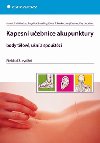 Kapesn uebnice akupunktury - Hans-Ulrich Hecker