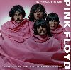 Pink Floyd - ilustrovan biografie - Svojtka