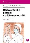 Ošetřovatelské postupy v péči o nemocné II - Speciální část - Renata Vytejčková; Petra Sedlařová; Vlasta Wirthová