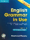 English Grammar in Use  Fourth Edition with answers and CD-ROM - Raymond Murphy