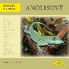 Anolisov - abeceda teraristy - Veronika Holov