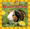 Moje první album Domácí zvířata - Aksjomat