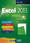Excel 2013 snadno a rychle - Mojmr Krl