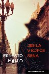 JEHLA V KUPCE SENA - Ernesto Mallo