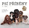 Ps pbhy - 2CD - Marek Ji, apek Karel, Haek Jaroslav