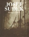 Mion Forest - Josef Sudek