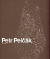 Petr Pelk Architekt - Petr Pelk,Judit Solt