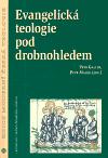 Evangelick teologie pod droblonohledem - Petr Gallus,Petr Macek