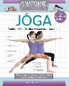 Jóga - Anatomie fitness - Karpel Oren Goldie