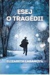 Esej o tragdii - Elizabeth LaBanov