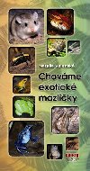 Chovme exotick mazlky - Nataa Velensk
