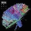 Muse - The 2nd Law CD - neuveden