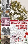 erven mky na Monte Cassinu - Miloslav Jenk