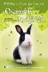Osamělý králíček - Příběhy se šťastným koncem - Jill Hucklesby