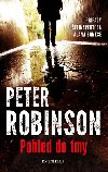 Pohled do tmy - Peter Robinson