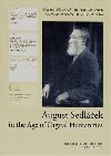 August Sedláček in the Age of Digital Humanities - Eva Doležalová,Robert Šimůnek,Jaroslav Boubín,Josef Žemlička