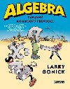 Algebra - Zbavn komiksov prvodce - Larry Gonick