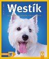 Westk West highland white terir - Jak na to - Ingrid Bolle-Kleinbubov