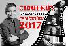 Cibulkův kalendář pro pamětníky 2017 - Aleš Cibulka