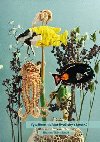 Vytváříme mořské živočichy z korálků - Blanka Trávníková