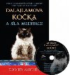 Dalajlamova koka a sla meditace + CD - David Michie